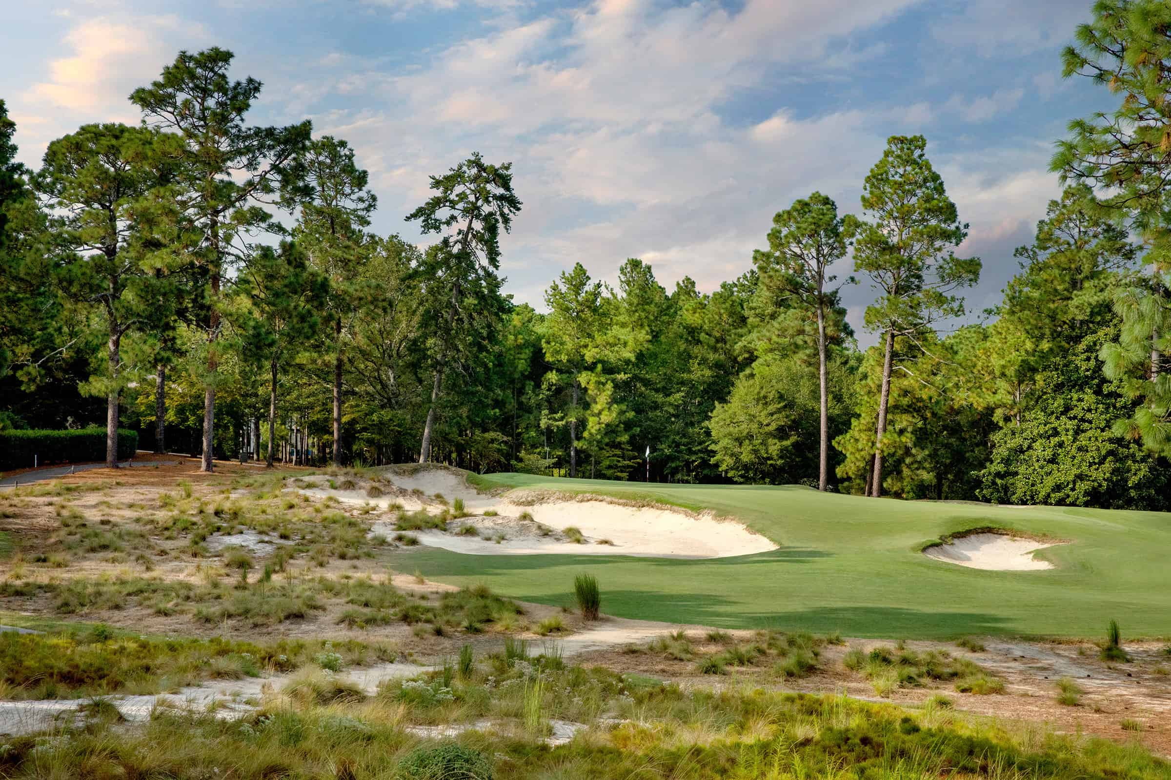 Pinehurst No. 2 framed by longleaf pines and sandy waste areas